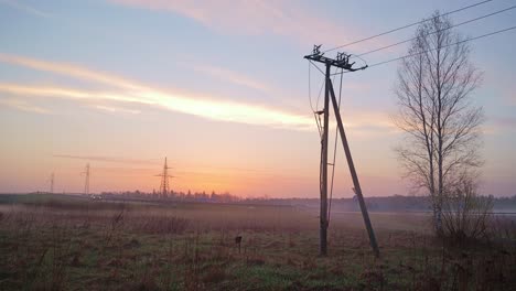dawn light over power lines and road traffic in open latvian field, slow motion
