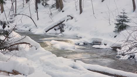 winter river in a snowy forest