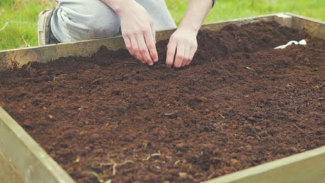 Colocando-Tierra-Sobre-Semillas-De-Hortalizas-Sembradas-En-Un-Lecho-De-Jardín-Elevado