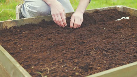 colocar tierra sobre semillas de hortalizas sembradas en un lecho de jardín elevado.