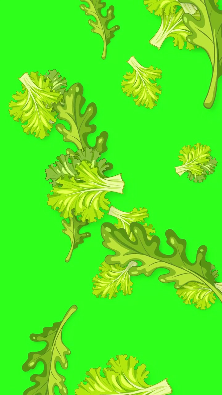 Animazione verticale di varie foglie verdi di lattuga e cavolo riccio che cadono su uno sfondo verde brillante