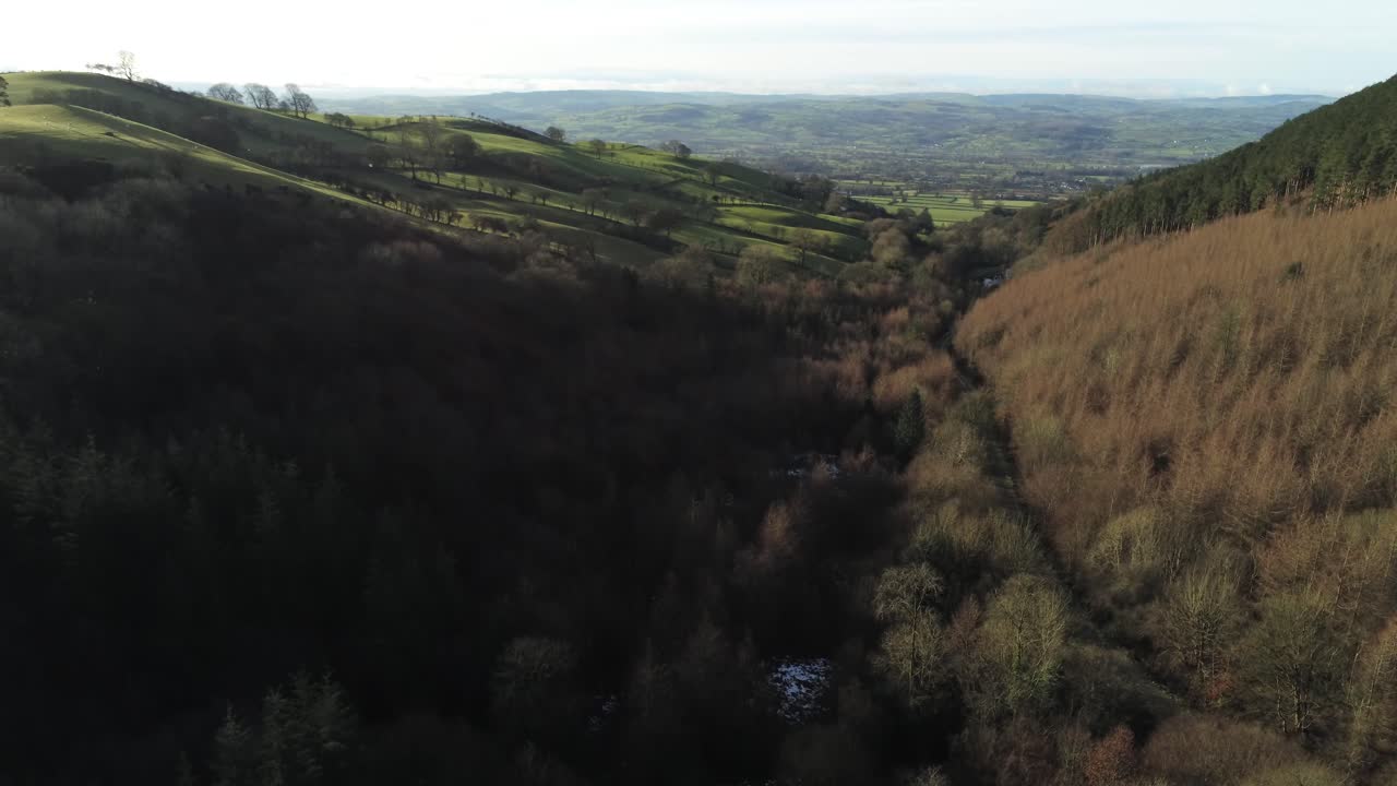 coed llangwyfan galés woodland valley parque nacional vista aérea bajando al bosque amanecer campo