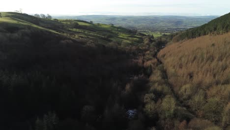 Coed-Llangwyfan-Galés-Woodland-Valley-Parque-Nacional-Vista-Aérea-Bajando-Al-Bosque-Amanecer-Campo