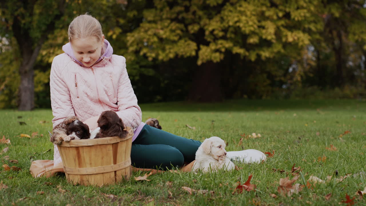 가을 공원에서 십대 소녀가 잔디 ⁇ 에서 강아지와 놀고 있습니다.