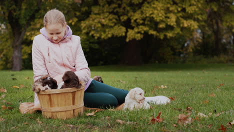 teen girl in autumn park playing with puppies on lawn