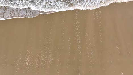 Sandy-Shore-With-Foamy-Ocean-Waves---Aerial-Top-Down