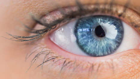 close up of female blue eye against white background