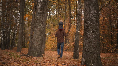 Vater-Trägt-Sein-Kleines-Kind-Auf-Den-Schultern-Und-Geht-Bei-Schönem-Wetter-Im-Herbstwald-Spazieren.-Familienwochenende-In-Der-Natur.-Rückansicht-Der-Person,-Malerische-Waldlandschaft