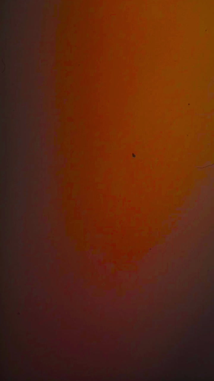 Fughe di Luce Astratte e Transizioni di Colore