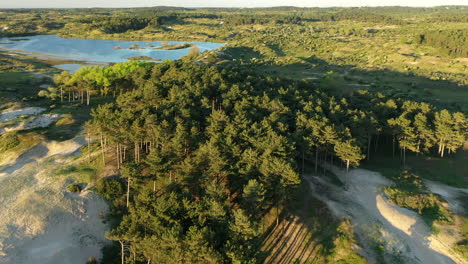 nationalpark zuid kennerland mit blick auf das vogelmeer und einem wunderschönen sonnenuntergang in den niederlanden