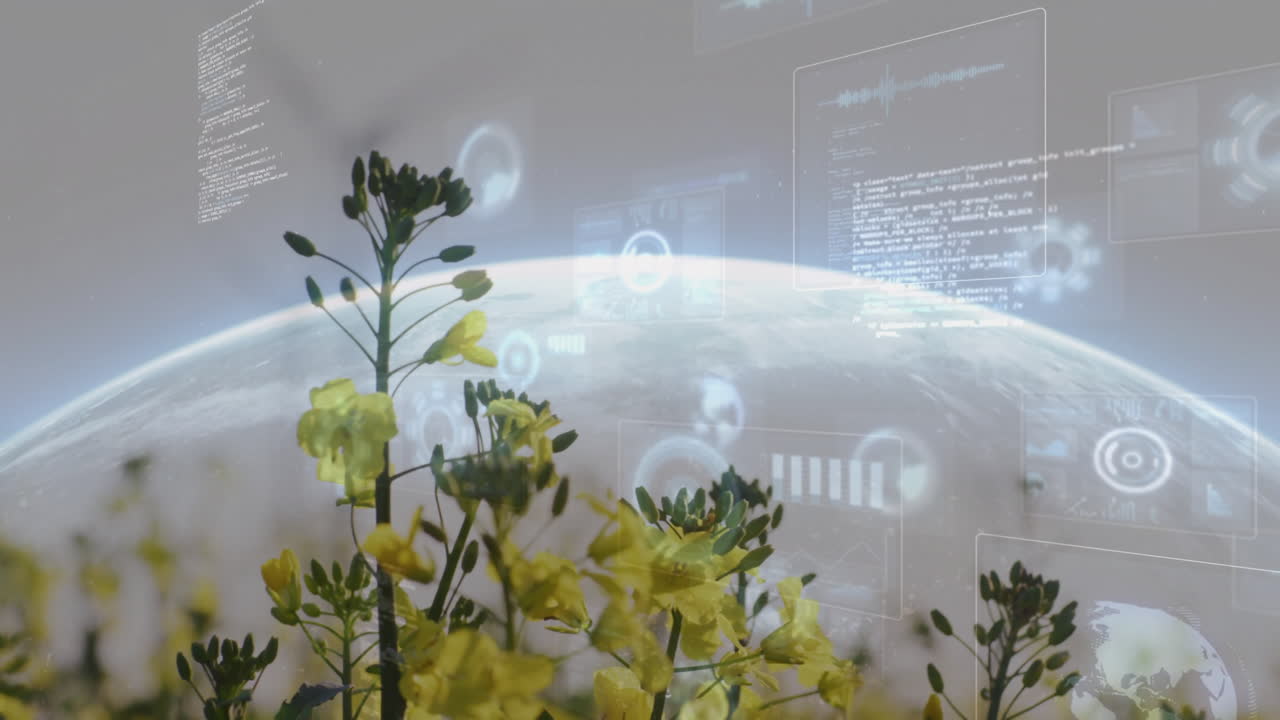 Yellow flowers with digital data processing animation over Earth in background