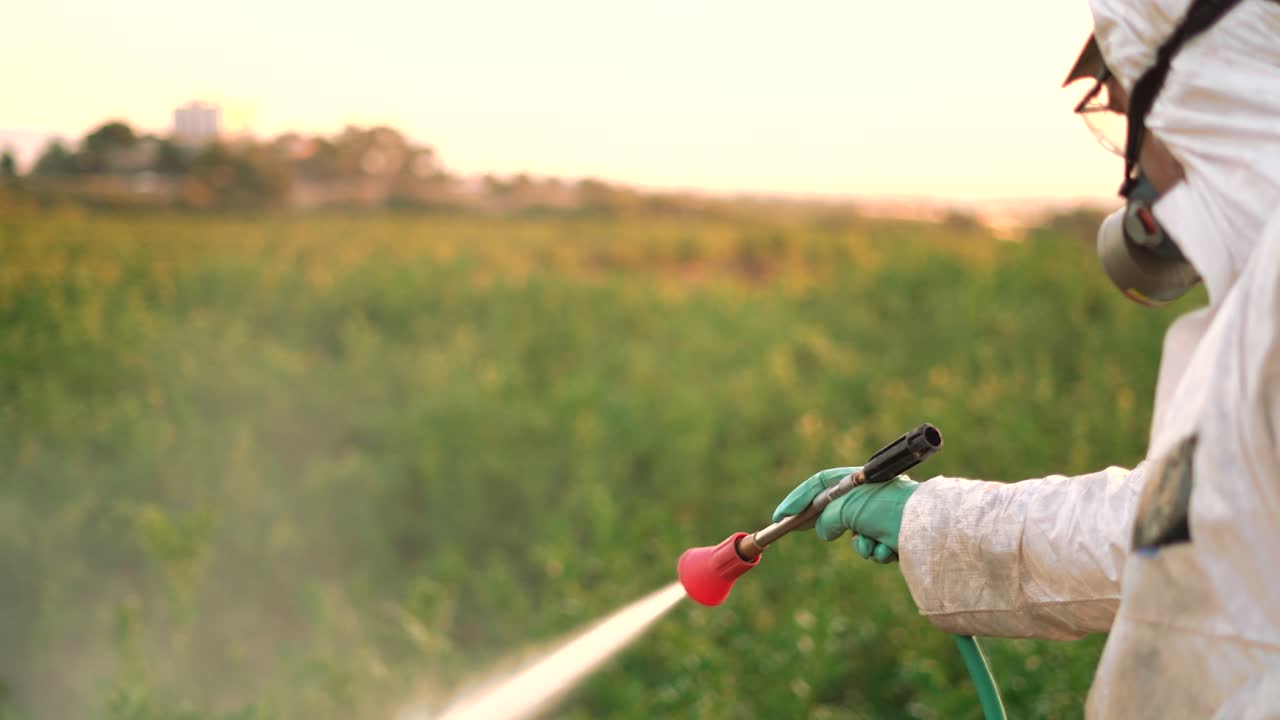Spray ecological pesticide. Farmer fumigate in protective suit and mask lemon trees. Man spraying toxic pesticides, pesticide, insecticides