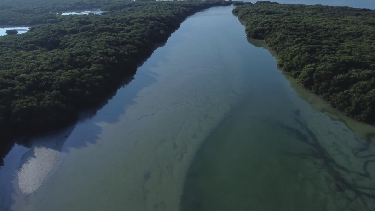 해안 식물과 바닷물이 있는 타라우트 섬의 풍경