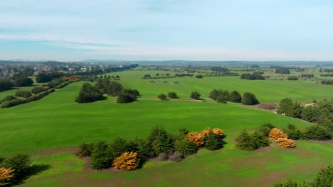 Aerial-orbit-of-a-clear-green-meadow,-full-of-greenery-on-a-sunny-day,-Santo-Domingo,-Chile