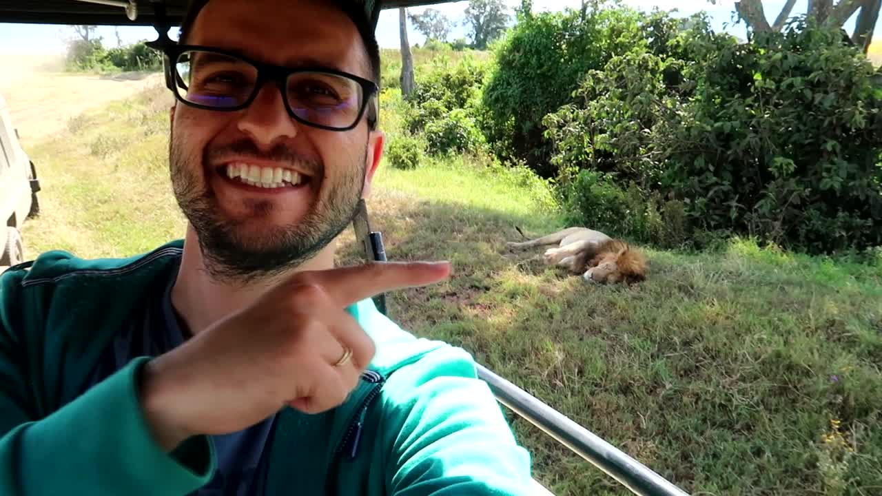 hombre sonriente feliz señalando a un león dormido de un coche en la carretera, safari africano