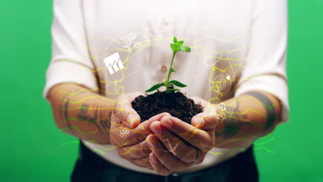 mujer con una planta que representa la sostenibilidad y la protección del medio ambiente