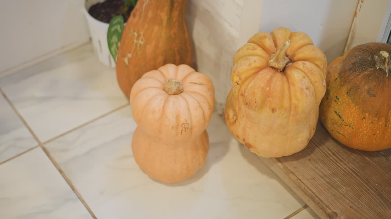 Piccole zucche heirloom sul pavimento piastrellato, accanto a un tagliere di legno e un vaso di ceramica. Luce brillante della cucina. Zucche testurizzate raggruppate per il ripieno della torta. Un allestimento rustico moderno, tonalità arancione pallido.