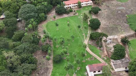 Rural-Rhapsody:-A-Symphony-of-Green-and-Tranquility