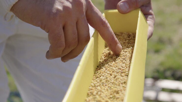 BEEKEEPING - Beekeeper shows a pollen trap in an apiary, slow motion close up