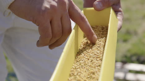 BEEKEEPING---Beekeeper-shows-a-pollen-trap-in-an-apiary,-slow-motion-close-up