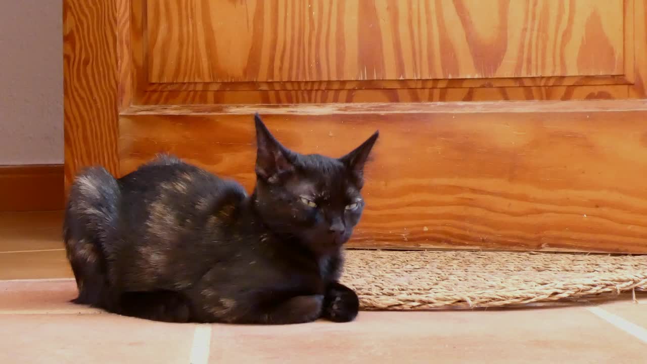 까만 까만 문앞에서 지켜보는