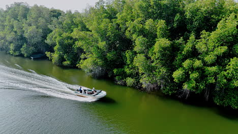 four people sitting in the boat moving by the river. drone footage above the waterscape with the bank overgrown with lush trees.