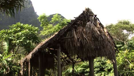 Holzhütte,-Iao-Valley-State-Park,-Hawaii