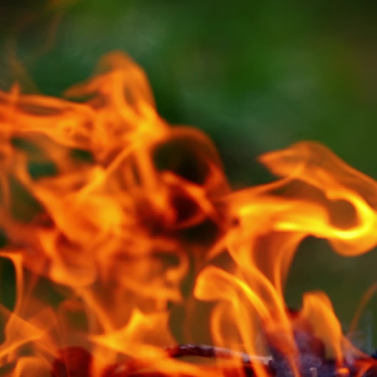 Bright fire and flames burn in hot fireplace. Beautiful orange tongues of flame on wooden logs for barbecue. Close-up.