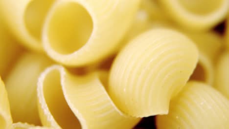 pipette rigate y pasta de lumaconi rigati