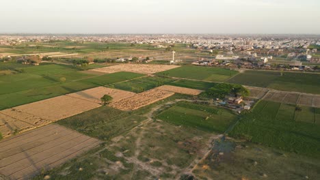 4k:-Drone-flying-over-agricultural-land-in-the-city-of-Punjab,-Pakistan