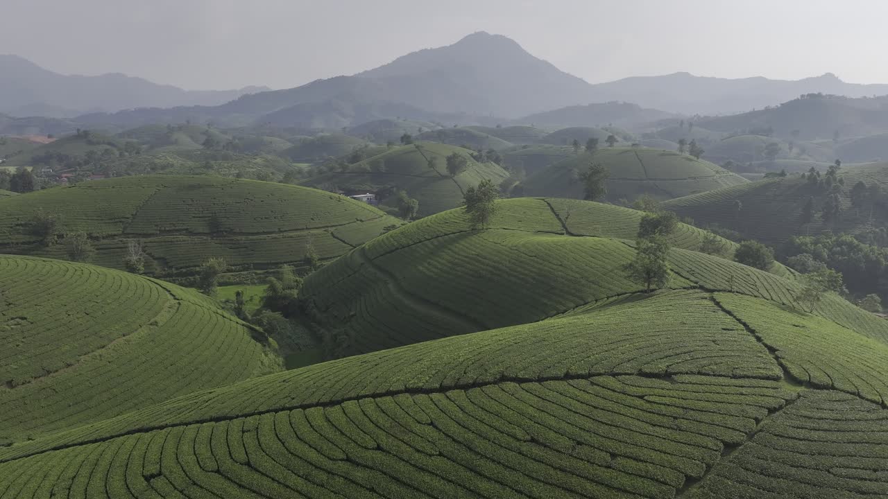 베트남에서 파일 된 무 칸 차이 의 항공 사진