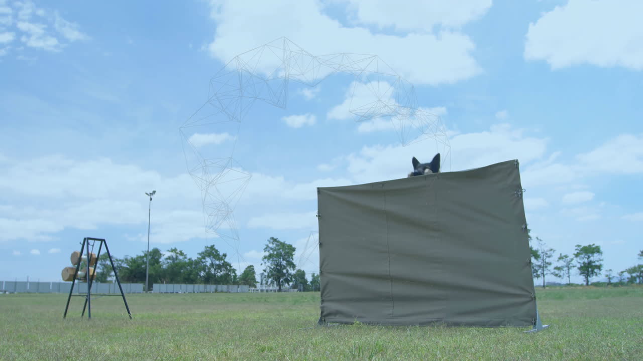 In school animation, dog jumping over obstacle in training field with clear sky