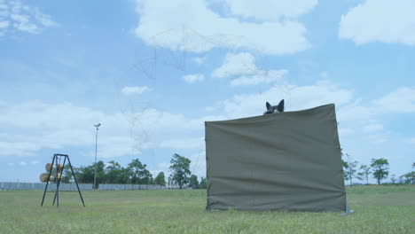 in school animation, dog jumping over obstacle in training field with clear sky