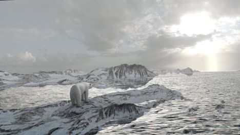 polar bear in the arctic landscape