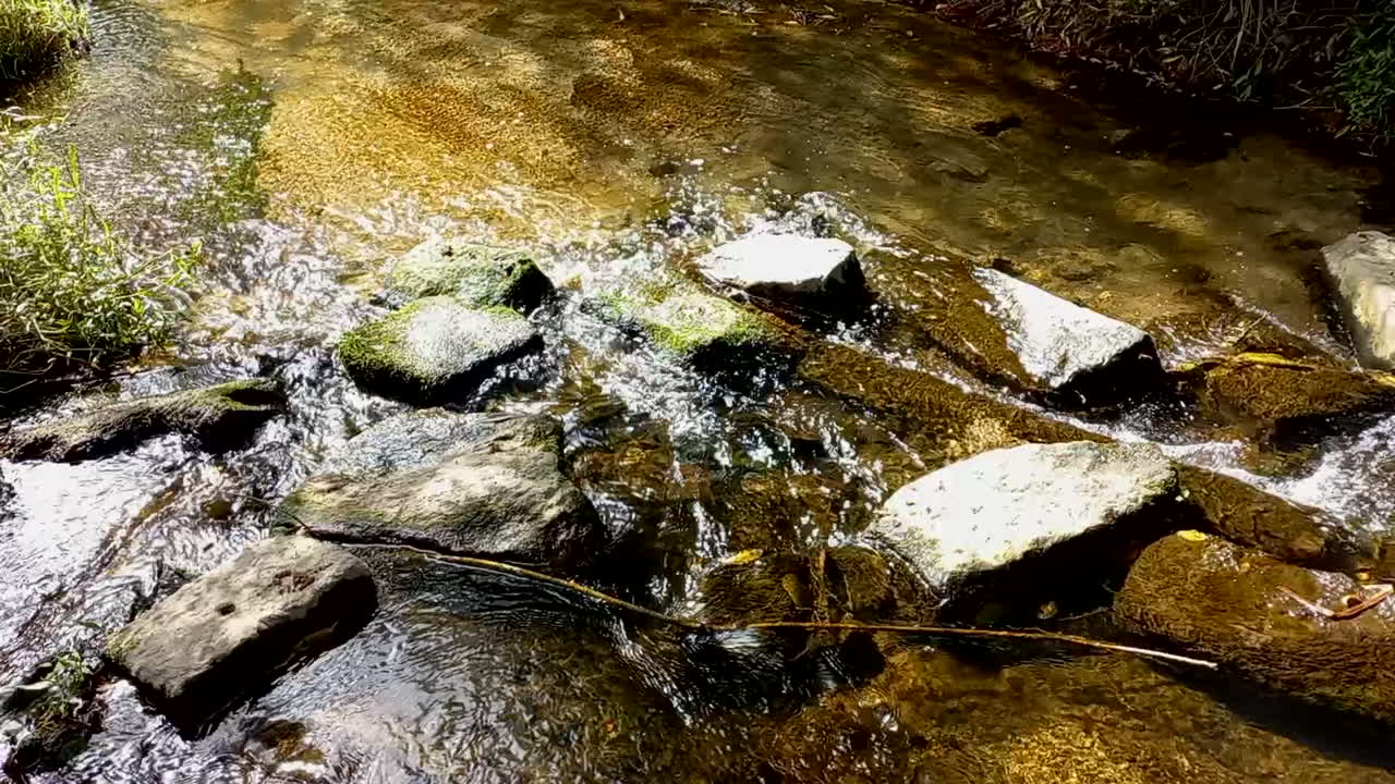 agua transparente que fluye en un pequeño arroyo, circulando en las pequeñas piedras