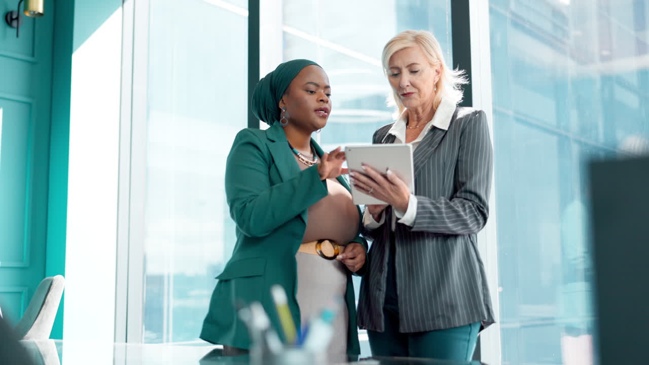 Businesswomen Discussing Project