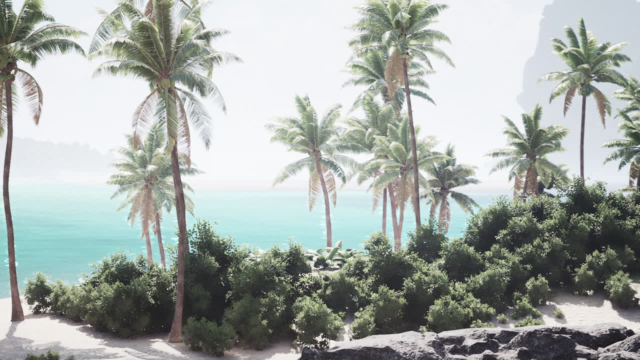 열대 해변 파라다이스