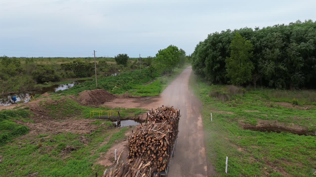 Low aerial of a logging truck loaded with freshly cut timber driving on a dusty rural road in the Paraná Delta, Argentina, surrounded by green fields, waterways, and native vegetation