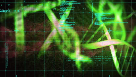 DNA-Strang-Und-Wissenschaftliche-Datenverarbeitungsanimation-über-Gitterhintergrund