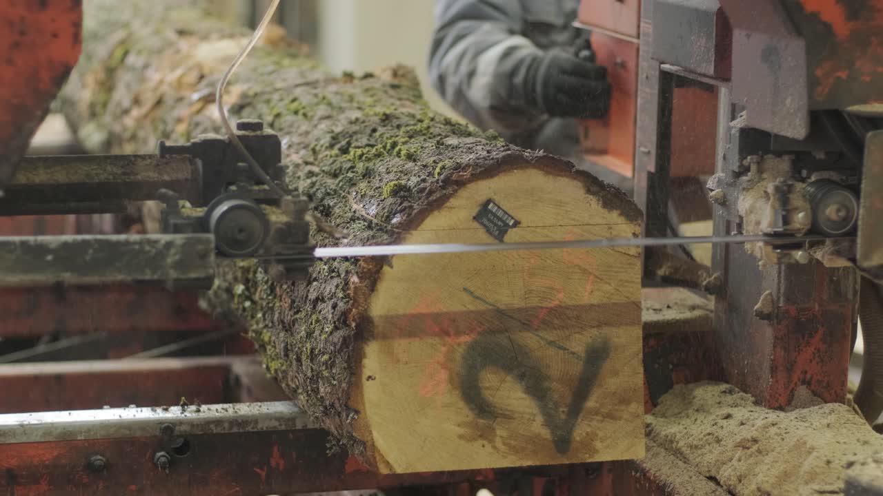 Máquina de Serraria Cortando um Grande Tronco de Árvore em Tábuas.