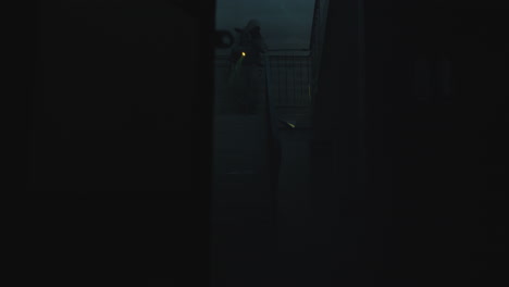 nighttime security patrol