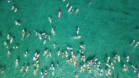 Cool-overhead-zoom-in-shot-of-a-group-of-paddle-boarders-paddling-out-in-the-Atlantic-ocean