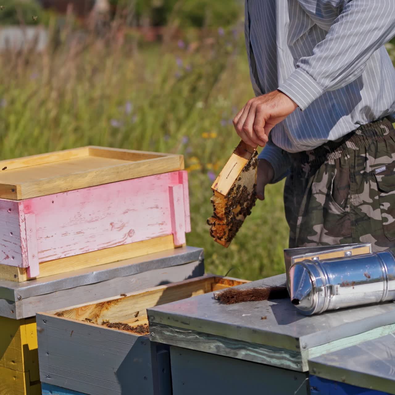 Beekeeping process. Apiarist inspecting bees near beehives. Beekeeper looking after bees on frame on the apiary.