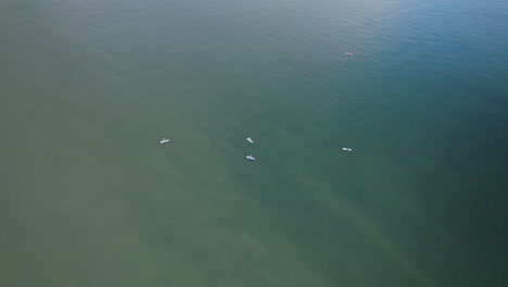 Aerial-high-angle-shot-showing-group-of-sup-Paddler-surfing-on-Baltic-Sea-in-Polöand-during-summer