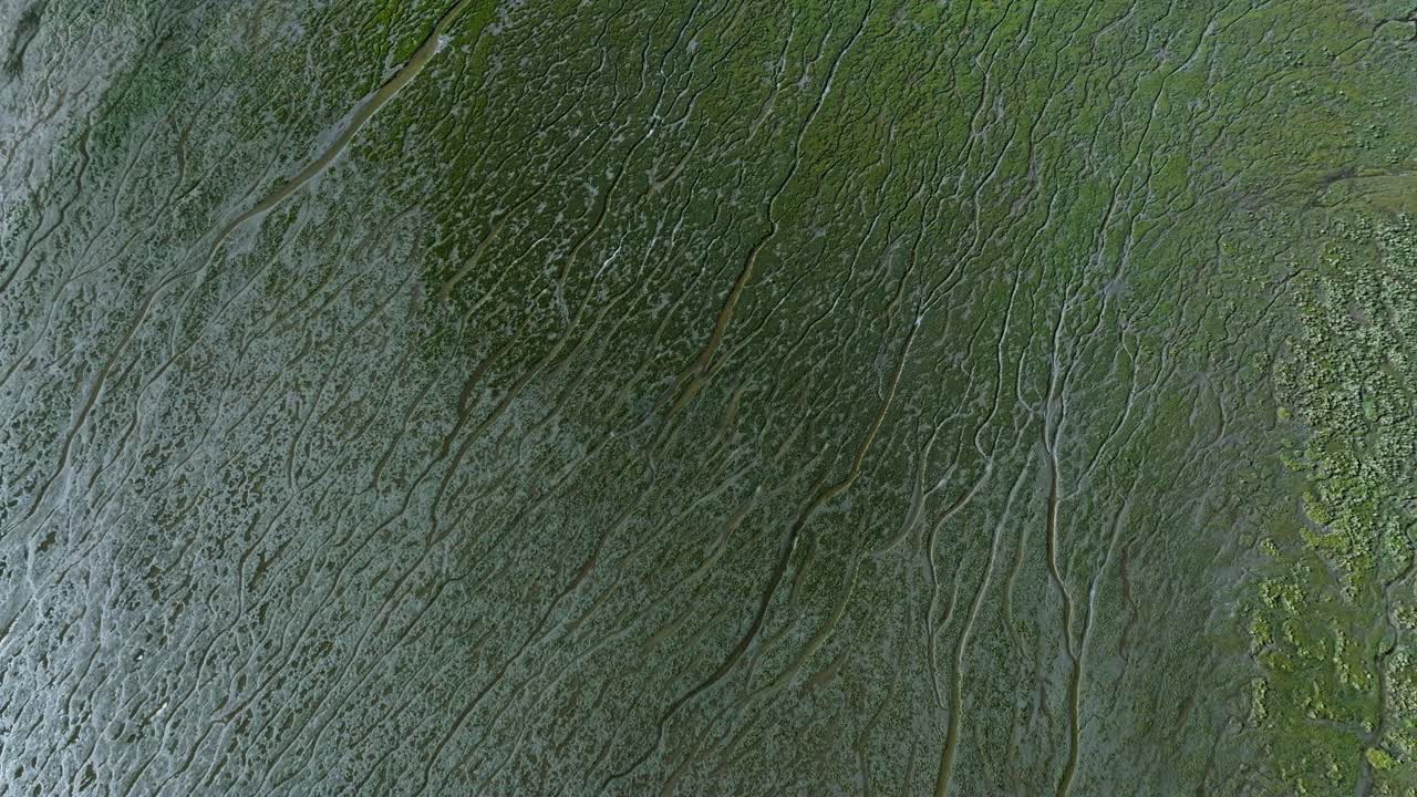 llanura de inundación del delta del río verde con sorprendentes patrones de canales abstractos, inclinación aérea