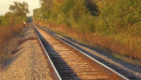 empty railroad tracks stretch into the distance and the signal light is green