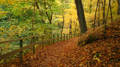 Camino-En-El-Bosque-De-Otoño