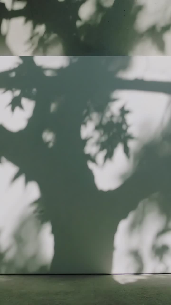 Vertical video: Casting tree shadow by sun, shifting leaves and moving floor patches on wall, shelf