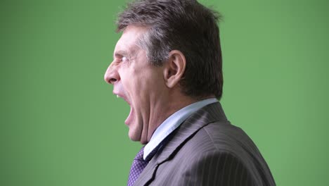 hombre de negocios maduro y guapo contra un fondo verde