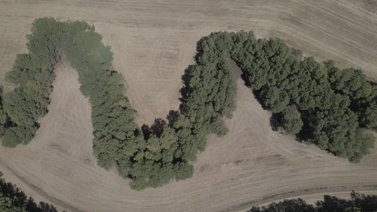 vista cenital de cosechar campos de avena